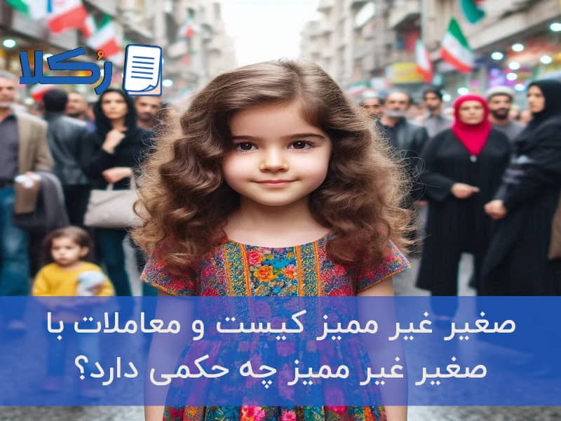 صغیر غیر ممیز